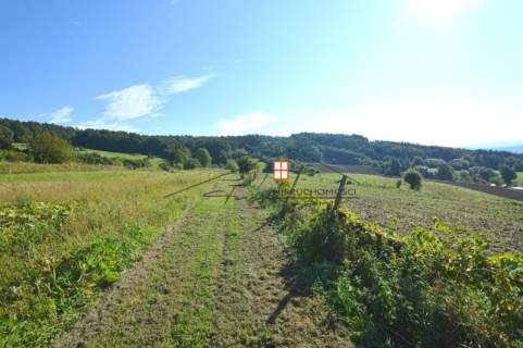 Działka budowlana na sprzedaż, 13400 m2, Wapowce