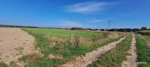 Działka rolna na sprzedaż, 3000 m2, Rogów