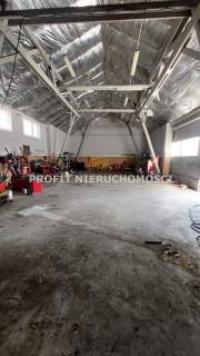 Nieruchomość komercyjna na sprzedaż, 420 m2, Góra Bałdrzychowska