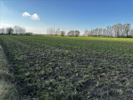 Działka 2 100 m , 2. linia Brzostówiec