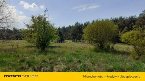 Działka inwestycyjna na sprzedaż, 21233 m2, Żelków-Kolonia