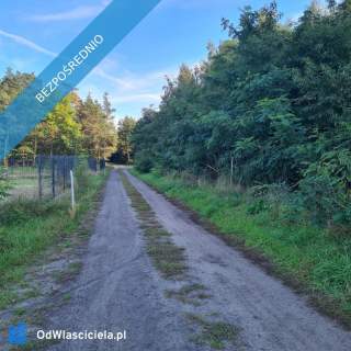 Las za oknem, projekt w ręku działka gotowa do budowy