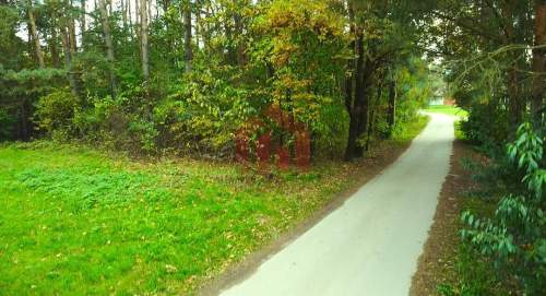 Działka budowlana 30ar gm. Żyraków