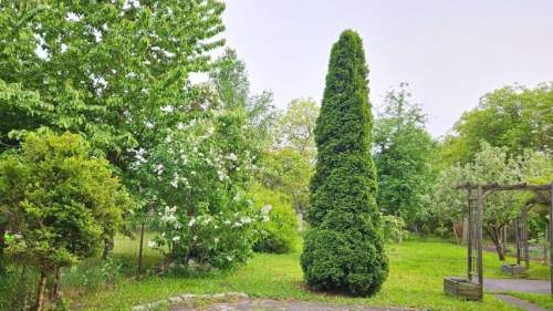 Piętro domu z ogrodem na Kuźnikach