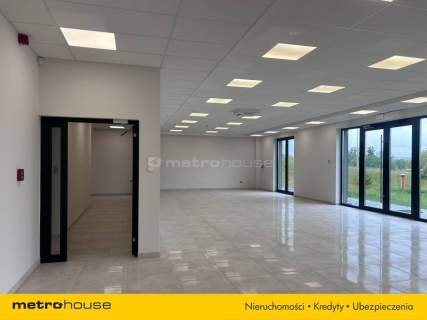 Nowoczesny lokal 295 m na wynajem Dorotowo DK51
