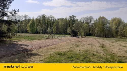 Działka rolna na sprzedaż, 9900 m2, Marysin