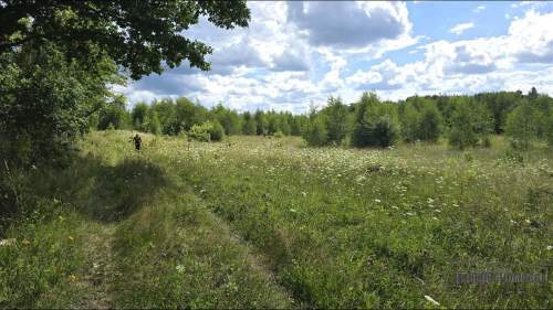 możliwość zabudowy zagrodowej -1 km od jeziora Pil