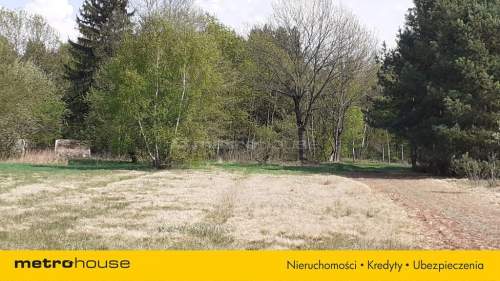 Działka rolna na sprzedaż, 9900 m2, Marysin