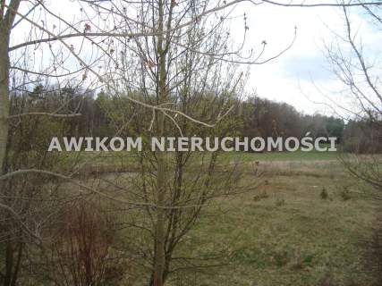 Działka na sprzedaż, 10300 m2, Pieńki Zarębskie