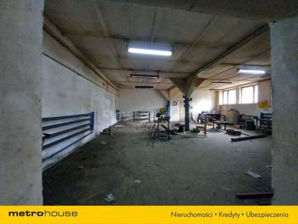 Hala i budynek gospodarczy 650 000zł do negocjacji