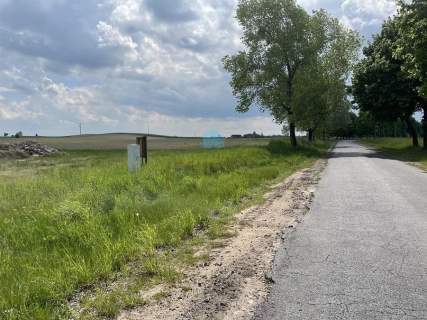 Grunt rolny 1,5ha warunki zabudowy Sokołowo k/Witkowa