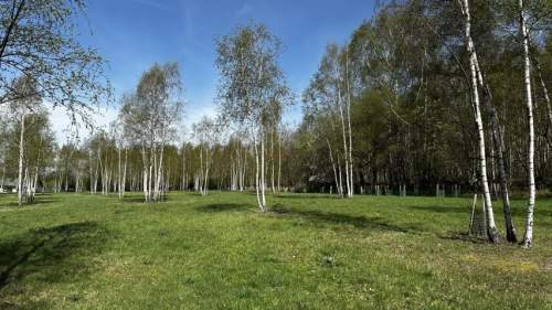 Działka mieszkaniowo-rekreacyjna o powierzchni 3753m2 w Nowej...