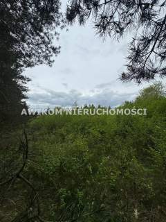 Radziejowice, Kuranów