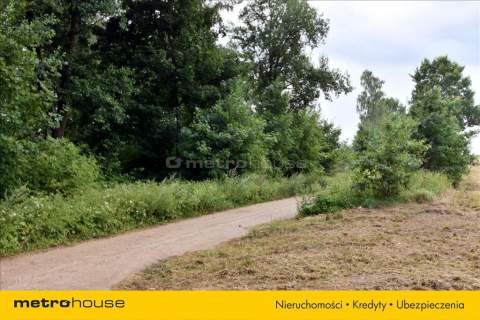 Działki nad Jeziorem Blanki 