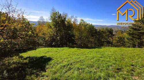 Widokowa działka rolna z panoramą na Dunajec