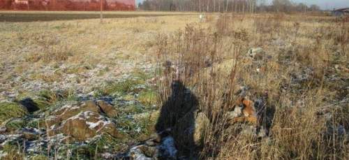 Działka rolna 12.9a, Boguchwała