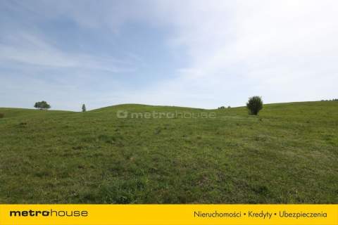 Działka na sprzedaż, 3001 m2, Stare Kawkowo