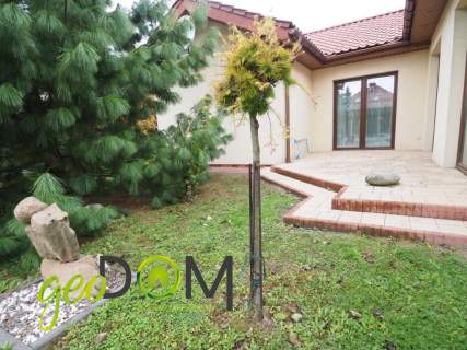 Dom 195 m2 z garażem 21 ar 28x75 Witosa Chełm