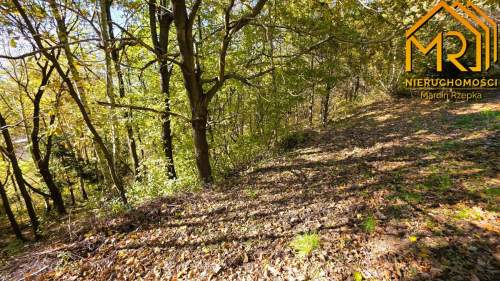 Widokowa działka rolna z panoramą na Dunajec