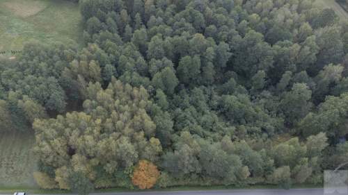 Działka 49ar w Majdanie Sieniawskim