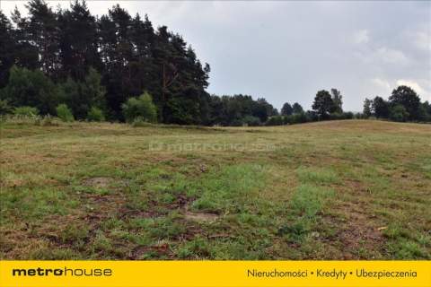 Działki nad Jeziorem Blanki 