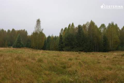 Działka inwestycyjna 7,06 ha w Zadrach, gmina Miastko Pojezierze...