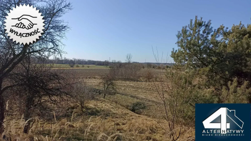 Działka rolna z alternatywą na infrastrukturę.