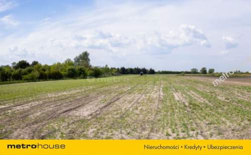 PIĘKNA DZIAŁKA Z WARUNKAMI ZABUDOWY- POKRZYWNO