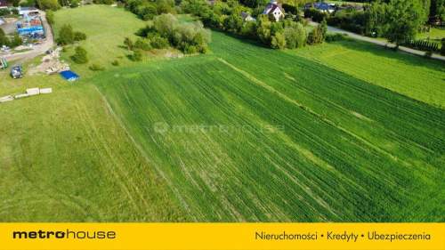 Działka siedliskowa w Mikorowie 185 000 zł