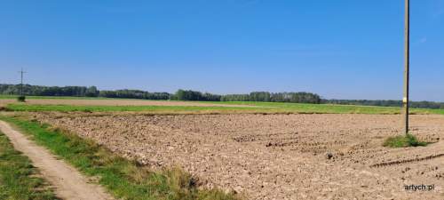 Działka rolna na sprzedaż, 3000 m2, Rogów