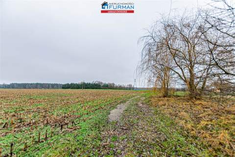 Na sprzedaż działka w Boruchowie gmina Ryczywół