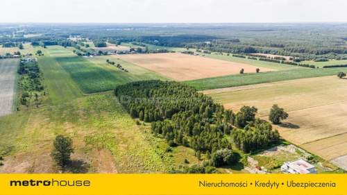 Enklawa wśród drzew, pól i łąk - Ruda-Bugaj
