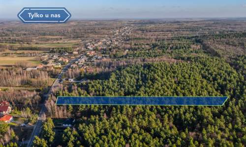 Duża działka budowlana - leśna Srocko gm. Mstów