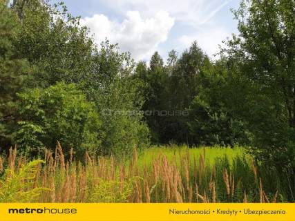 Działka inwestycyjna na sprzedaż, 958 m2, Cisie