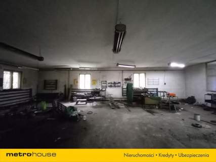 Hala i budynek gospodarczy 650 000zł do negocjacji