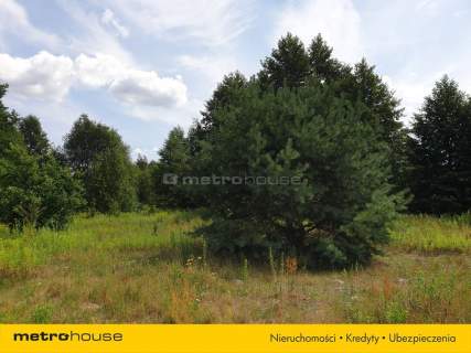 Działka inwestycyjna na sprzedaż, 971 m2, Cisie