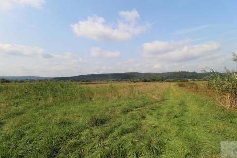 Działka budowlana na sprzedaż, 6000 m2, Śliwnica