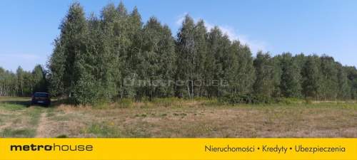 Działka rolna na sprzedaż, 13547 m2, Sosnowe
