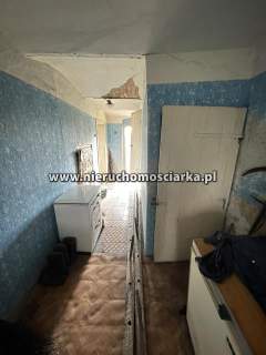 Dom do kapitalnego remontu, duża działka Bluszczów