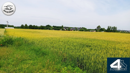 Działka budowlana w Bieruniu Ściernie z DROGĄ
