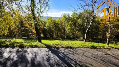 Widokowa działka rolna z panoramą na Dunajec