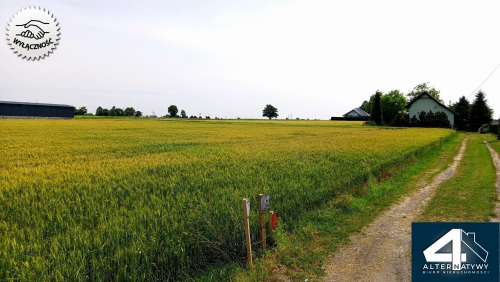 Działka budowlana w Bieruniu Ściernie z DROGĄ
