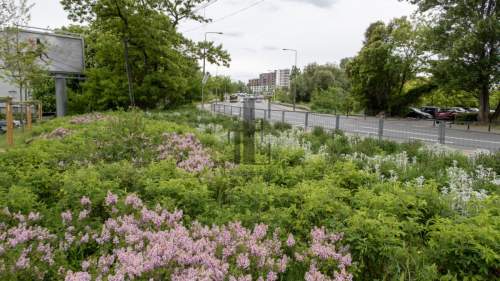 Indywidualny projekt Bezpośrednio Służew nad Dolin