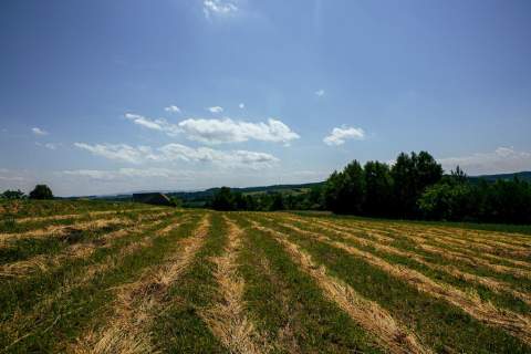 Działka rolno-budowlana w Gromniku