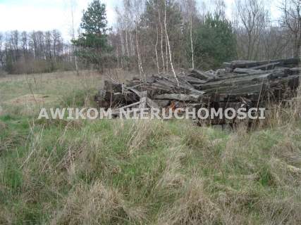 Działka siedliskowa na sprzedaż, 13593 m2, Pieńki Zarębskie