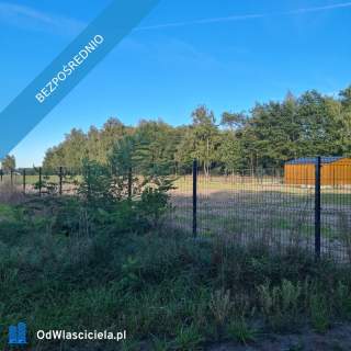 Las za oknem, projekt w ręku działka gotowa do budowy