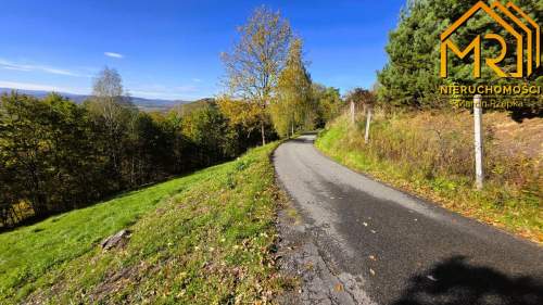 Widokowa działka rolna z panoramą na Dunajec
