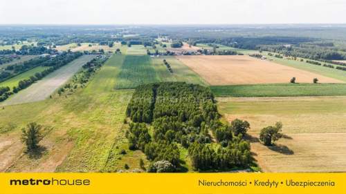 Enklawa wśród drzew, pól i łąk - Ruda-Bugaj