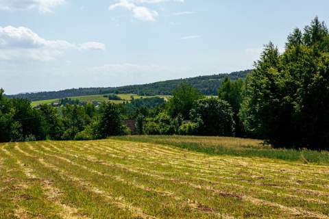 Działka rolno-budowlana w Gromniku