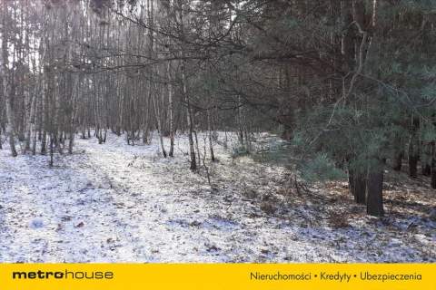 Działka leśno-rolna na sprzedaż